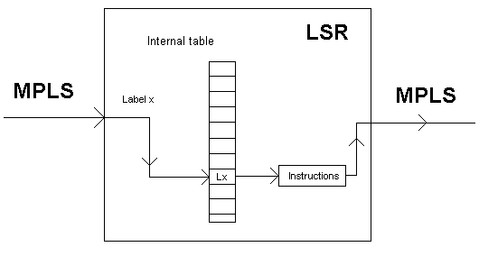 Label Switch Router